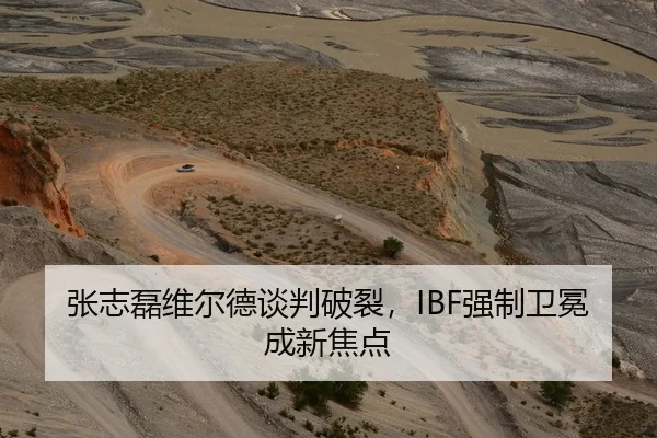 张志磊维尔德谈判破裂，IBF强制卫冕成新焦点