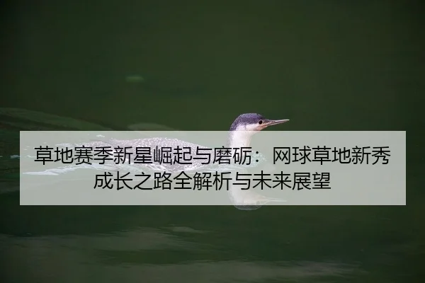 cao-di-sai-ji-xin-xing-jue-qi-yu-mo-li-wang-qiu-cao-di-xin-xiu-cheng-zhang-zhi-lu-quan-jie-xi-yu-wei-lai-zhan-wang-2-383.jpg