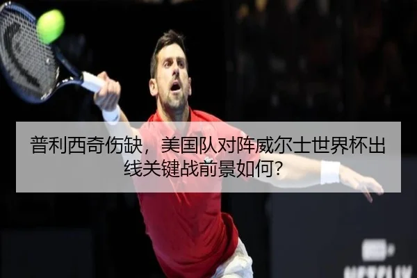 普利西奇伤缺，美国队对阵威尔士世界杯出线关键战前景如何？（Leyu）
